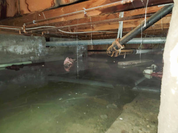 Reliable Bradenton, FL Water damage restoration Solutions