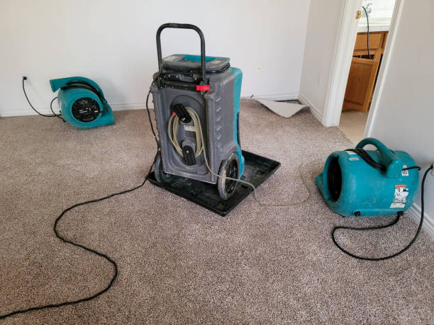Best Water damage restoration insurance claims  in Bradenton, FL