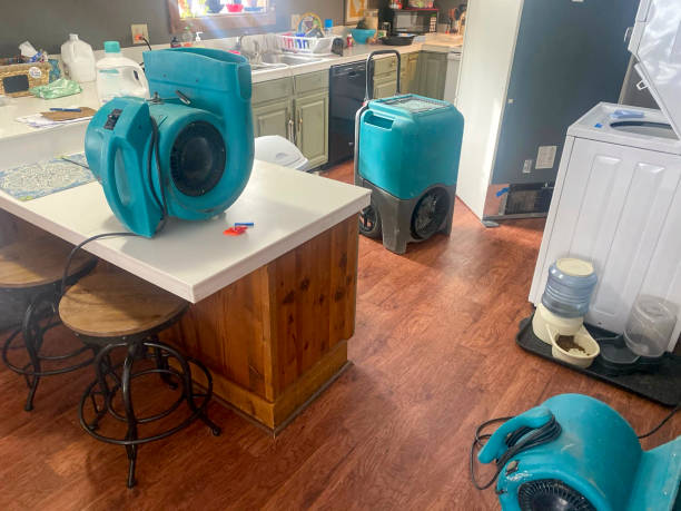 Best Sewage cleanup and water damage restoration  in Bradenton, FL