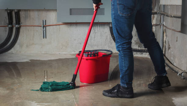 Best Flooded house restoration  in Bradenton, FL