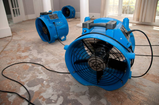 Best 24-hour water damage restoration  in Bradenton, FL
