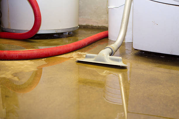 Best Local water damage restoration  in Bradenton, FL