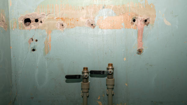 Best Water damage mitigation services  in Bradenton, FL