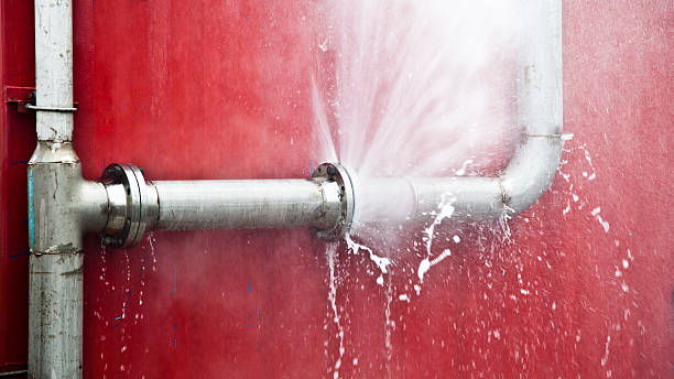 Best Water damage contractors near me  in Bradenton, FL