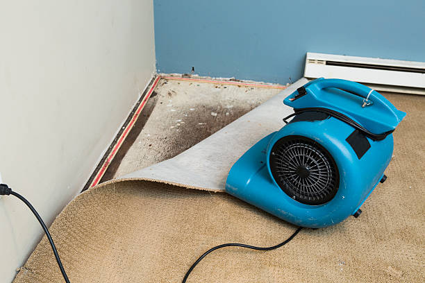 Best Flood damage cleanup  in Bradenton, FL
